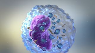 Иммунотерапия рака на 3D принтере: как ученые создают доступные и эффективные методы лечения опухолей