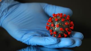 Новая научная гипотеза полностью меняет представление о коронавирусе и объясняет все его симптомы