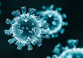 Особенности ДНК могут быть причиной тяжелой формы коронавируса. Ученые планируют масштабное исследование
