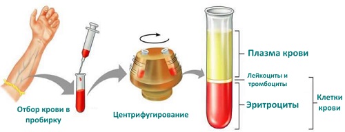 Плазма крови FDA - новый метод лечения COVID-19