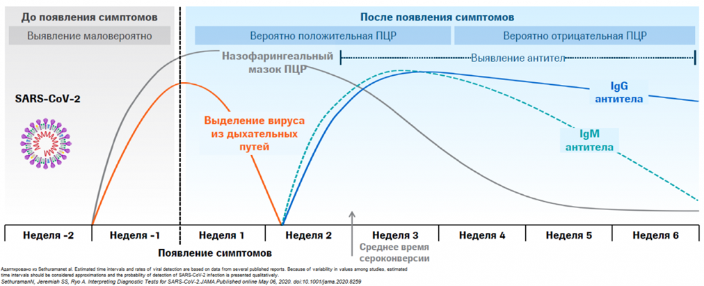 Обзор всех тестов на коронавирус: что показывают разные тесты, когда и какой тест делать?