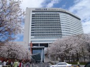 Клиника «Каннам Северанс», г.Сеул, Южная Корея я