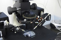 Клиника UNICA, г.Брно, Чехия Клиника UNICA, г.Брно, Чехия