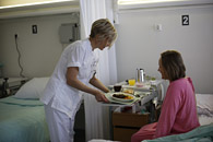 Клиника Хелена, г.Савонлинна, Финляндия Клиника Хелена, г.Савонлинна, Финляндия