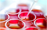 Две ложки крови: выращивание новых кровеносных сосудов в Европе