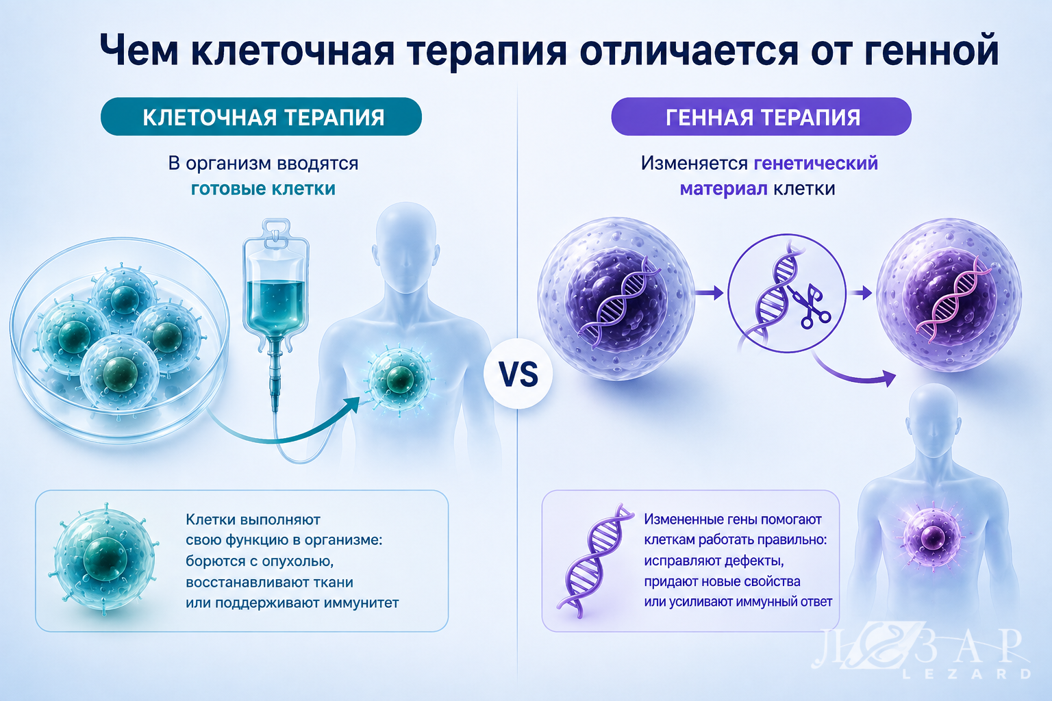 Чем клеточная терапия отличается от генной — сравнительная инфографика